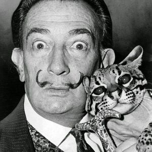 Meet your Posher, Robert